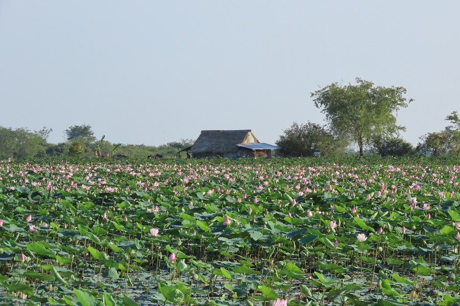 Phnom Penh Countryside Cycling Tour: Authentic Mekong River Bike Adventure
